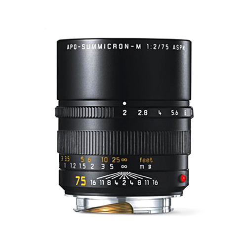 Leica APO-Summicron-M 75mm f/2 ASPH 6 Bit [예약판매]